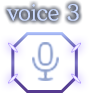 voice3